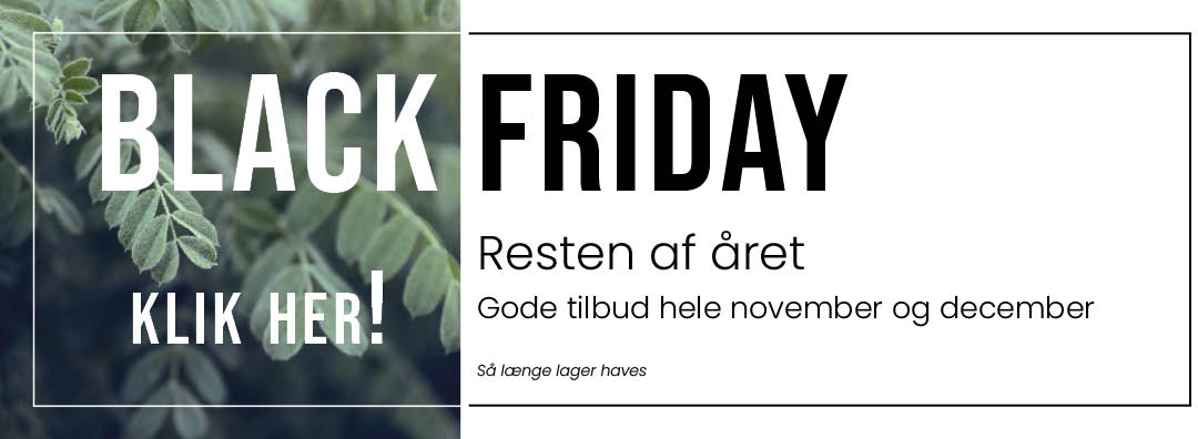 Black Friday Resten Af Året